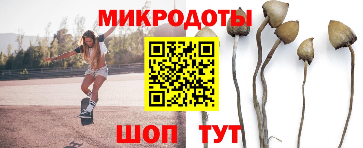 Псилоцибиновые грибы прущие грибы Артёмовский